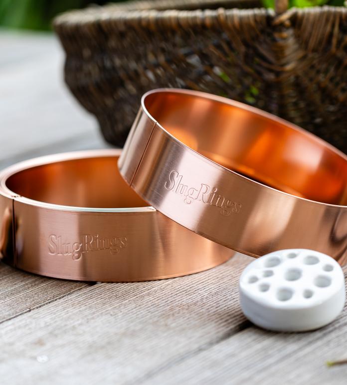 A pair of copper slug rings.
