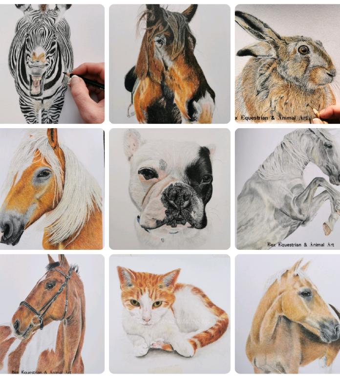 Collage of animal drawings