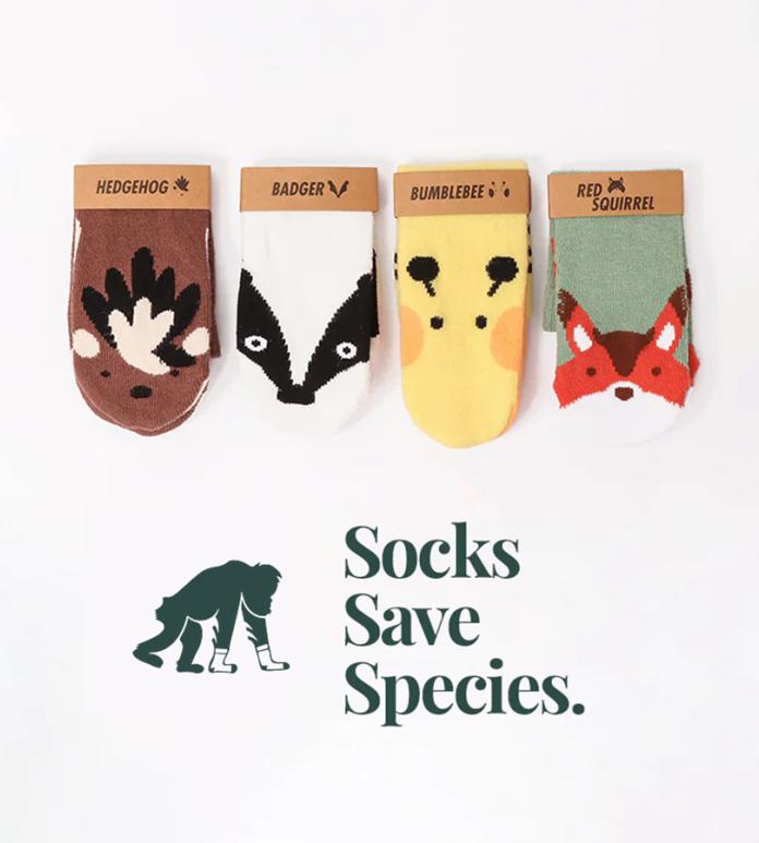 Selection of socks