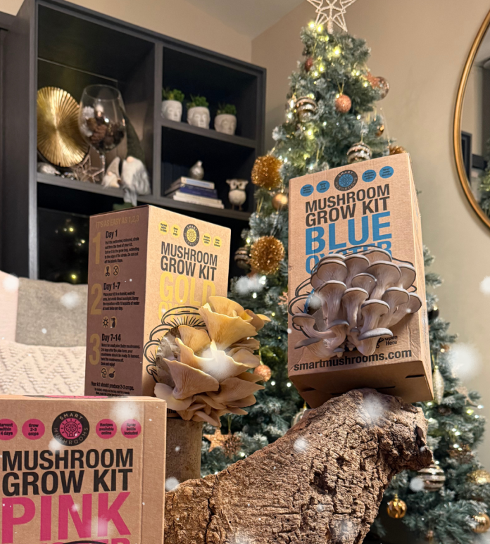 Mushroom grow kits