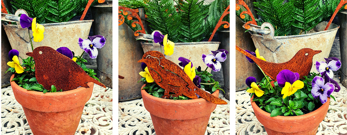 garden birds in a plant pot