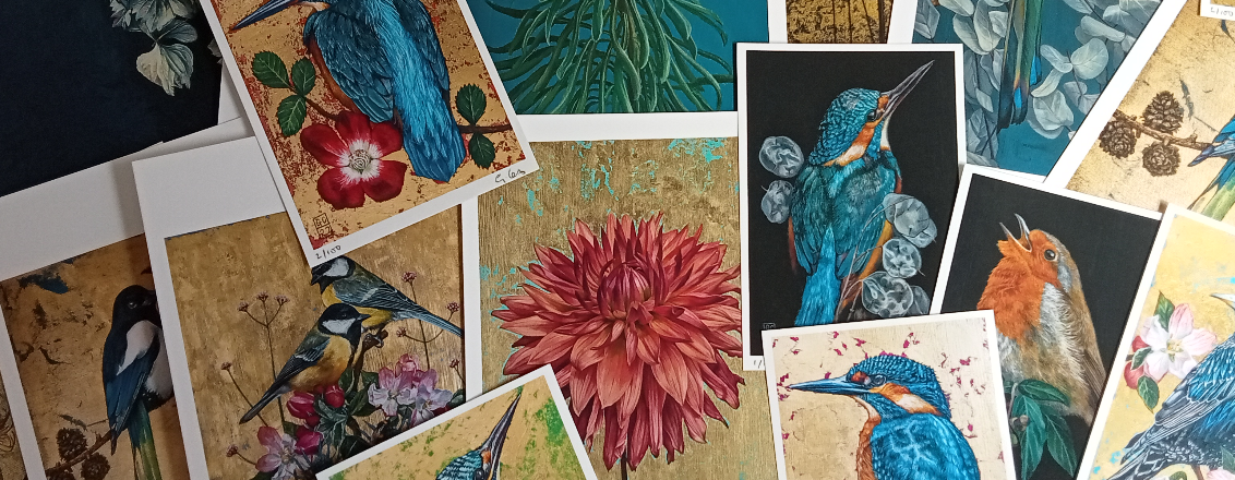 Selection of paintings of birds and flowers