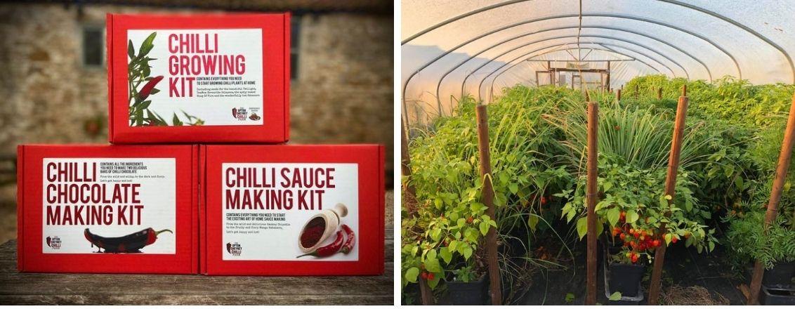 2 images: a photo of chilli chocolate making kit and a photo of the inside of a greenhouse